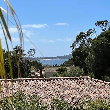 Livia Piscine 500m Porticcio (Corsica)