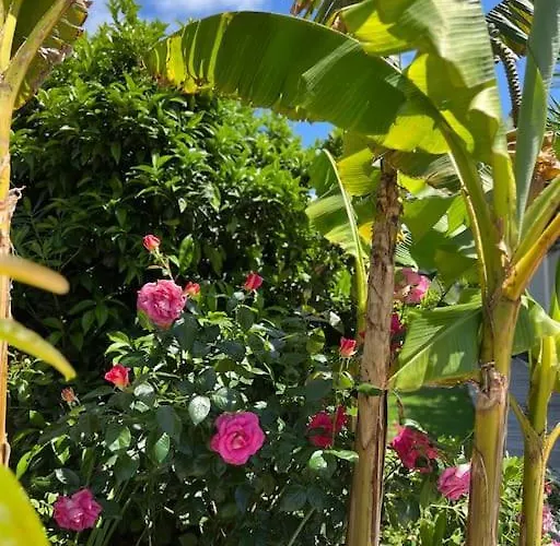 Casa de Férias Livia Piscine 500m