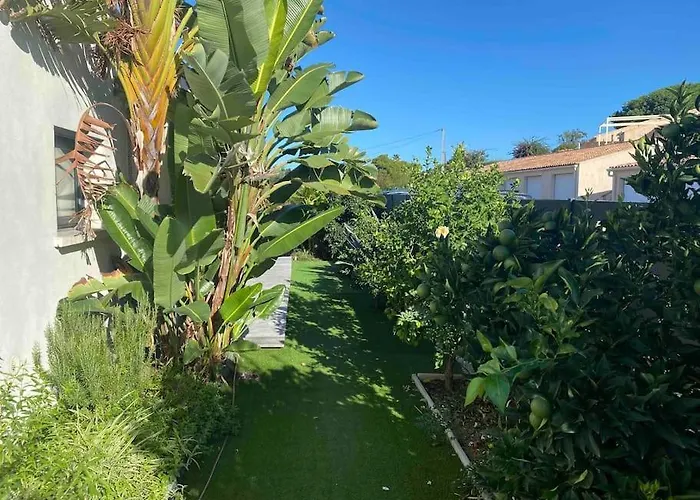 Casa de Férias Livia Piscine 500m Porticcio (Corsica)