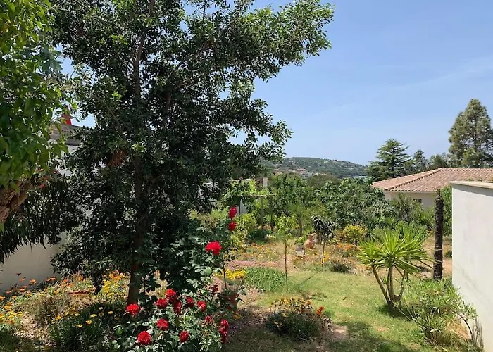 Livia Piscine 500m Porticcio (Corsica)