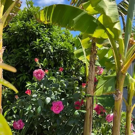 Holiday home Livia Porticcio Piscine 500m