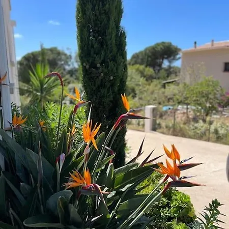 Holiday home Livia Porticcio Piscine 500m *