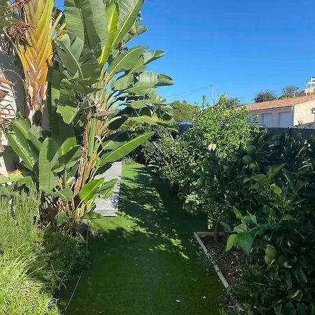 Feriehus Livia Piscine 500m Porticcio (Corsica)